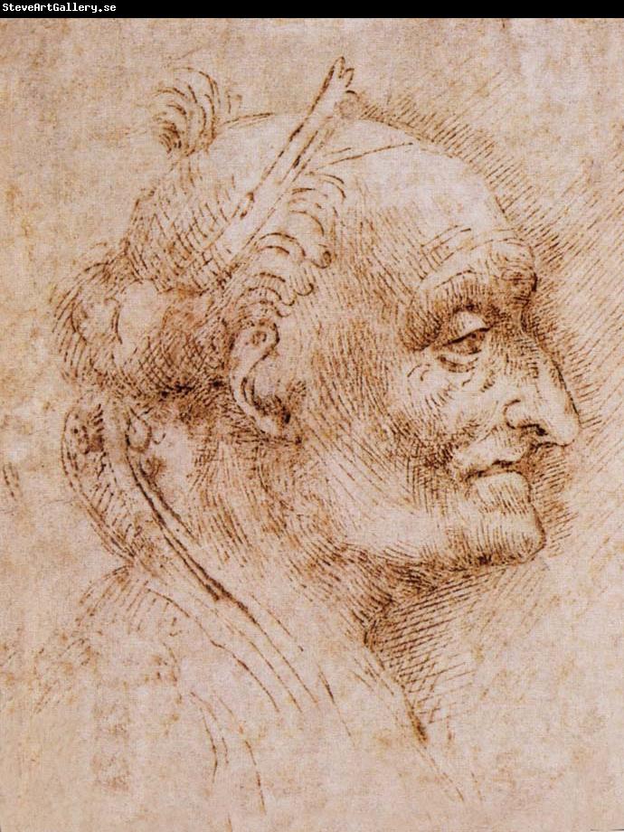 LEONARDO da Vinci Aurelio Luini attributed, profile of an old man